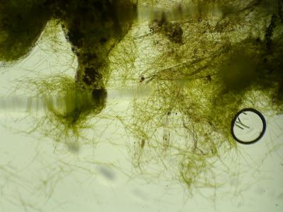 S20260830_0002.jpg