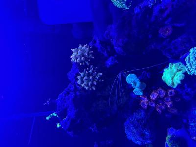 IMG_5267.jpeg