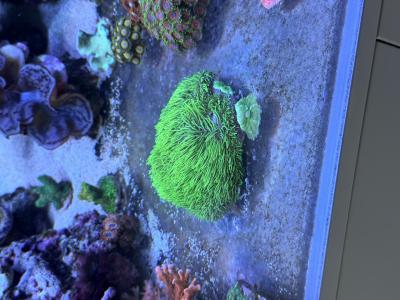 IMG_1600.jpeg