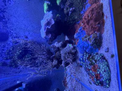 IMG_3106.jpeg