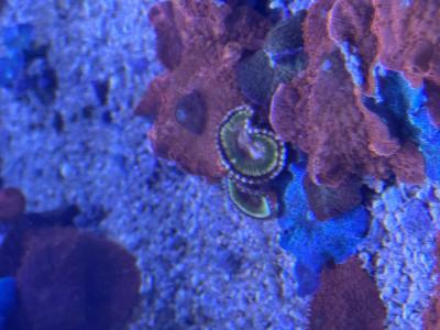 IMG_3107.jpeg