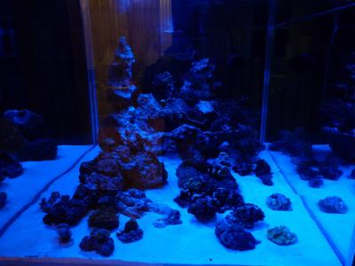 P1100177.jpg