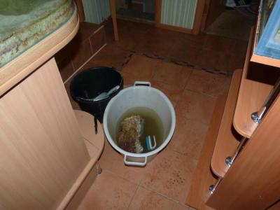 P1100130.jpg