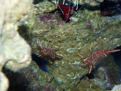 P1100283.jpg