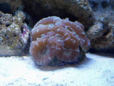 P1100271.jpg