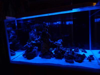 P1100179.jpg