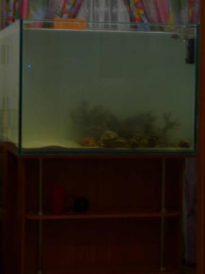 P1100139.jpg