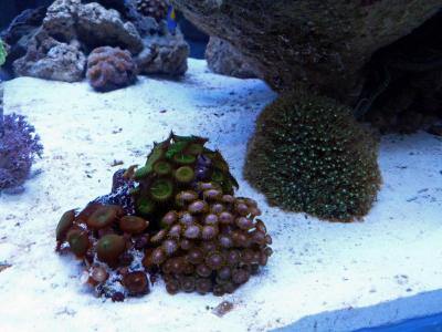 P1100236.jpg