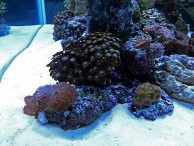 P1100238.jpg