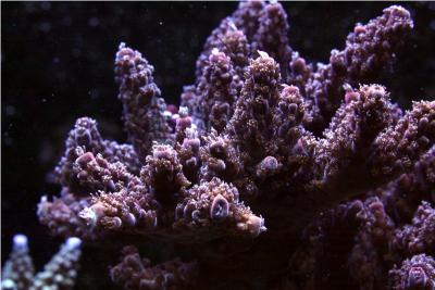 IMG_8076.JPG