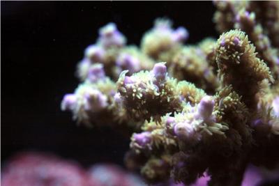 IMG_8064.JPG