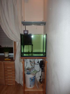 море 2.jpg