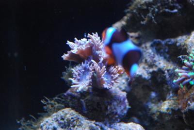 DSC_1138.JPG