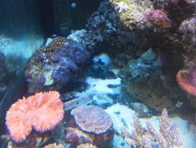 IMG_20141020_022041.jpg