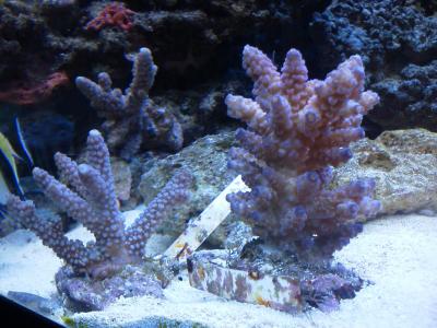 IMG_20141020_022216.jpg
