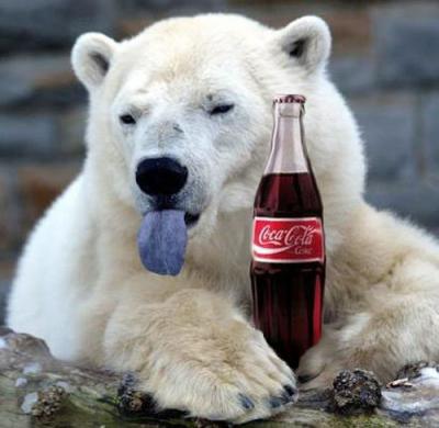 71442429_1299049986_cocacolapolarbearfunnyzone.jpg