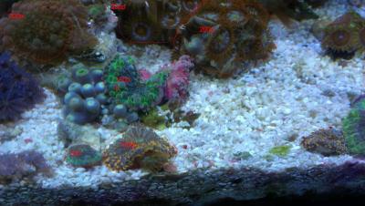 все юмы и зонты.jpg