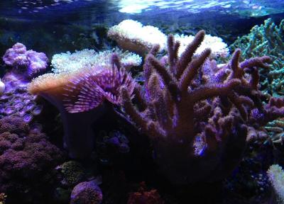 IMG_3289.JPG