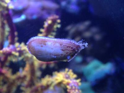 IMG_3090.JPG