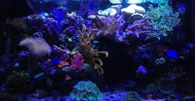IMG_3082.JPG