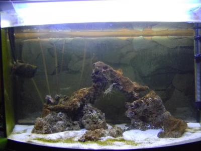 DSCN0262.JPG