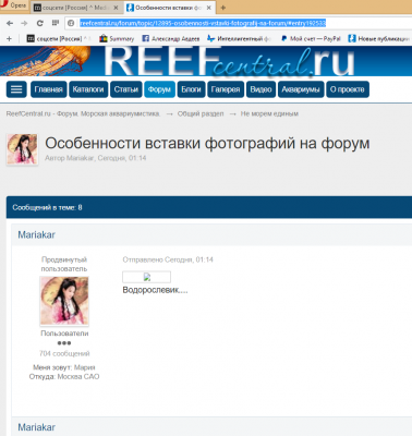 Как вставить картинку на форуме в сообщение