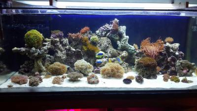 Море. Общ план..jpg