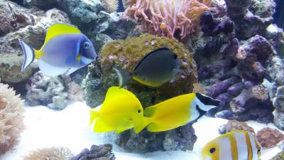 20151029_005348 (1).jpg