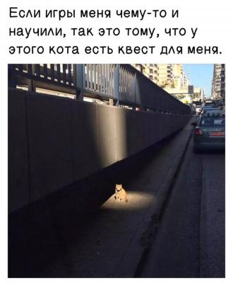 Котоквест.jpg