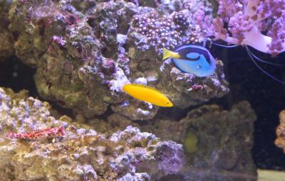 IMG_5407с.jpg