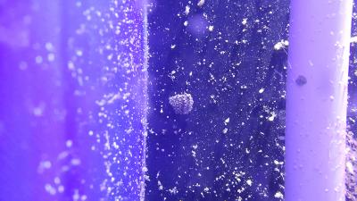 20161025_113159.jpg