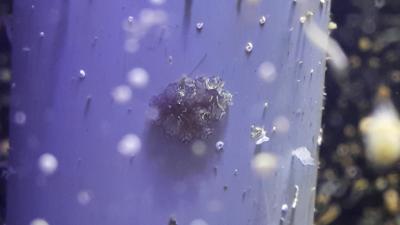 20161025_113142.jpg