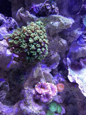 IMG_4043.JPG