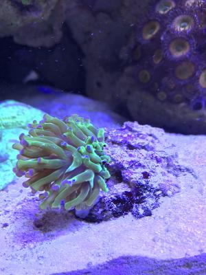 IMG_4047.JPG