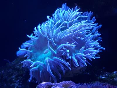 20171021_141500.jpg