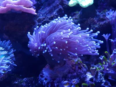 20171021_142210.jpg
