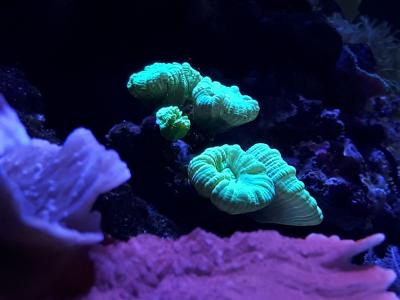 20171021_141737.jpg