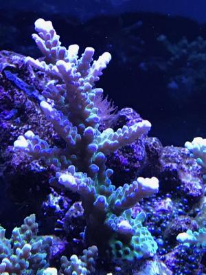 IMG_2736.jpg