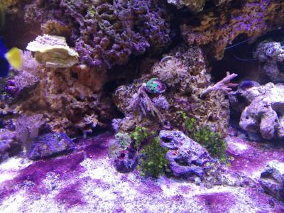 Image 2017-10-04 at 14.53.59.jpeg