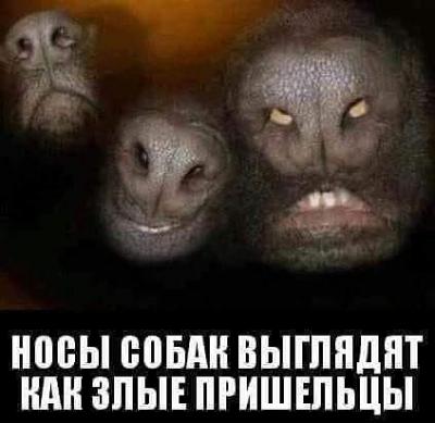 IMG_20181012_220352.jpg
