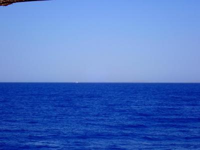 P8260208_новый размер.JPG