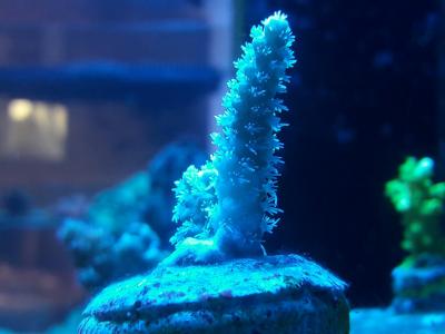 20181014_082249.jpg