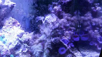 20191001_210818.jpg
