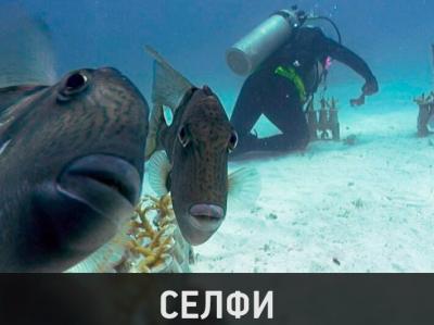 post-1731-0-88620000-1571054566.jpg