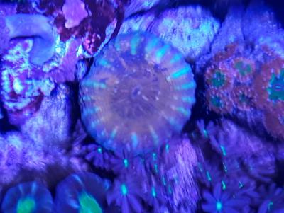 20191005_113826.jpg