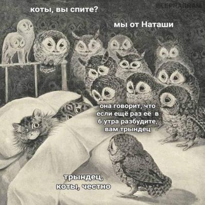 FB_IMG_1603310695531.jpg