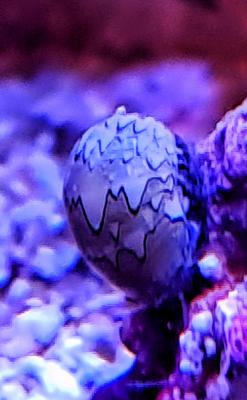20211013_193700-01.jpeg