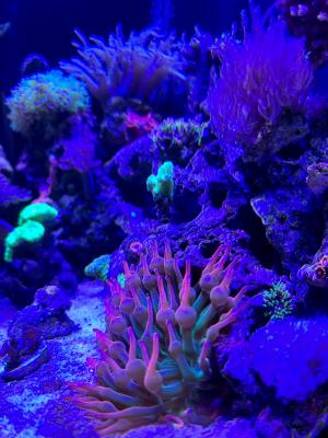 IMG_4041.JPG