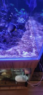 IMG_20221014_173823.jpeg