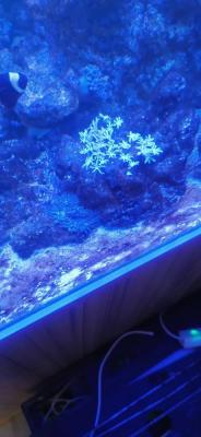 IMG_20221014_173907.jpeg